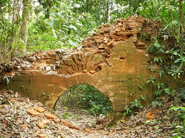 Chilapata Jungale