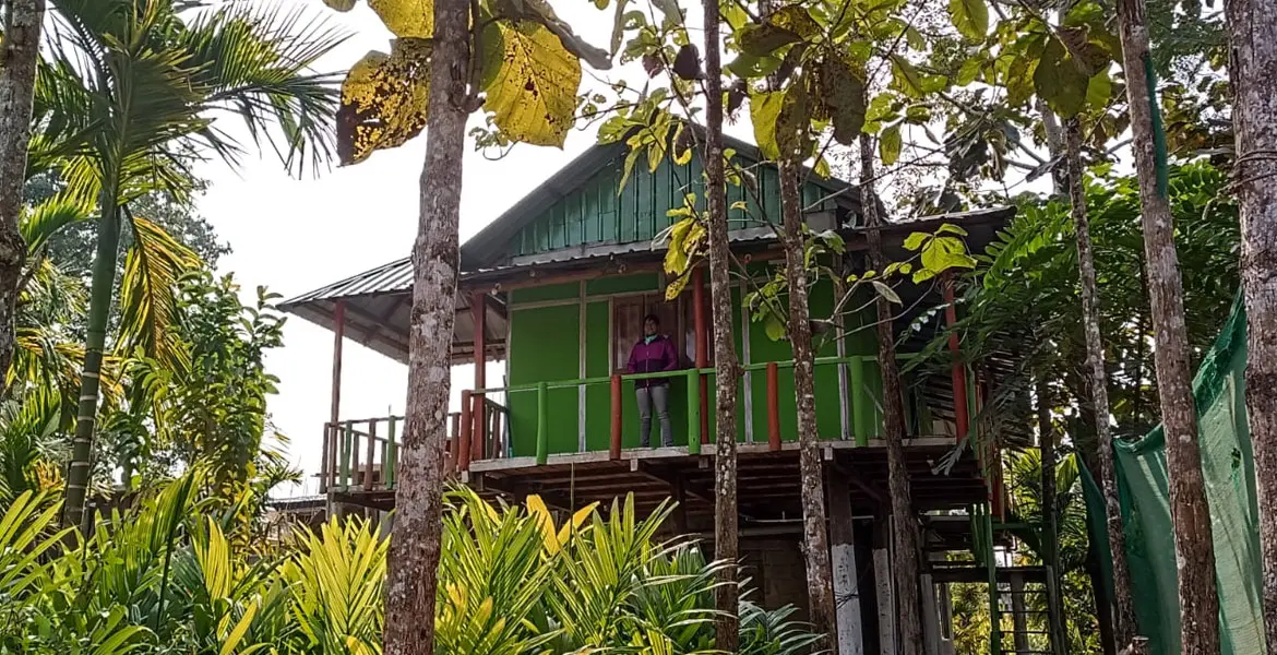 Homestay near about Kodal Basti Forest