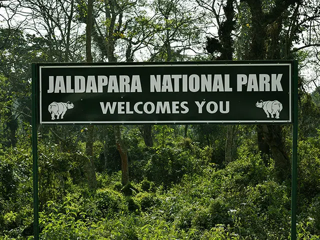 Jaldapara Jungle Safari