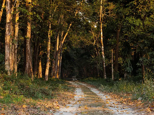 Jayanti