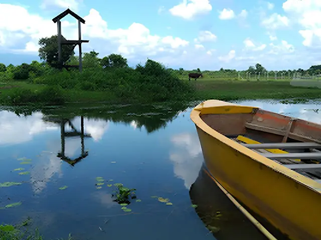 Rasikbil