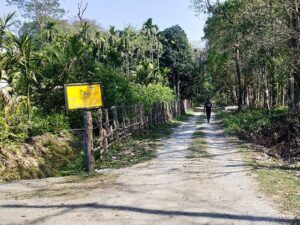 Forest area near Rava Blue Homestay