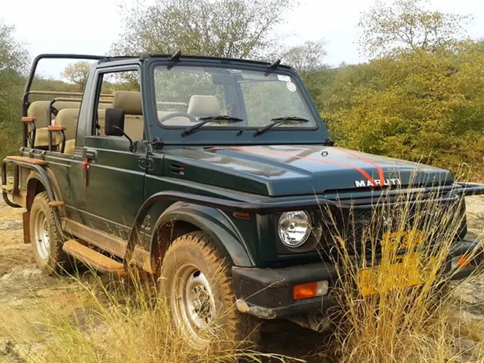 jungle safari