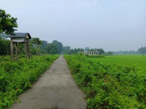 Road of Rava Blue Homestay