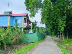 Road of Rava Blue Homestay