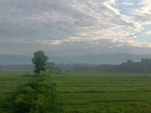 Sinc sin of Rava Blue Homestay